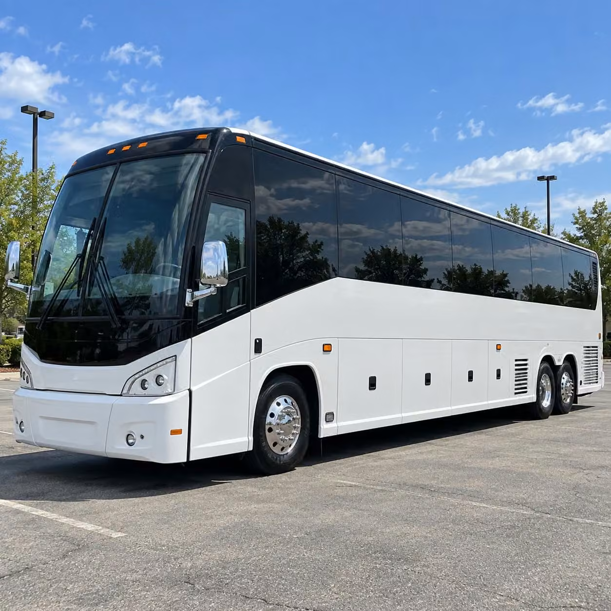 56 passenger charter bus